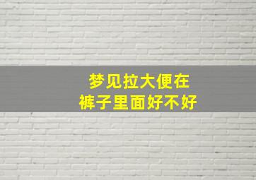 梦见拉大便在裤子里面好不好