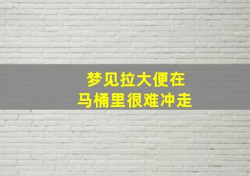 梦见拉大便在马桶里很难冲走