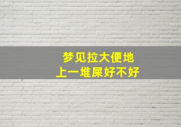 梦见拉大便地上一堆屎好不好