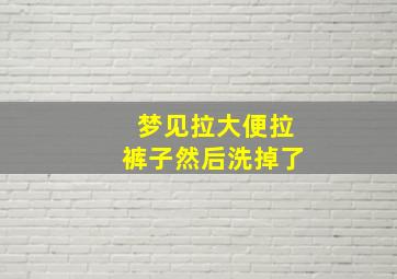 梦见拉大便拉裤子然后洗掉了