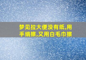 梦见拉大便没有纸,用手绢擦,又用白毛巾擦