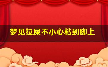 梦见拉屎不小心粘到脚上