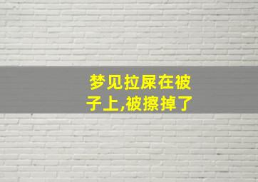 梦见拉屎在被子上,被擦掉了