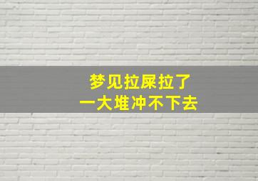 梦见拉屎拉了一大堆冲不下去