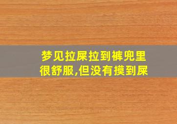 梦见拉屎拉到裤兜里很舒服,但没有摸到屎