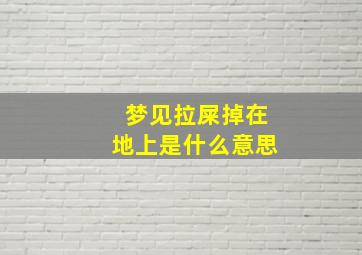 梦见拉屎掉在地上是什么意思