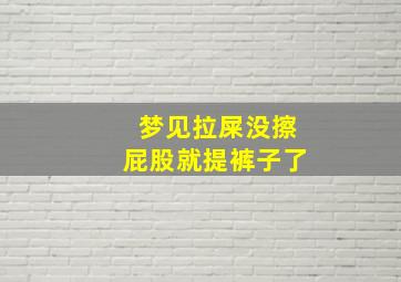 梦见拉屎没擦屁股就提裤子了