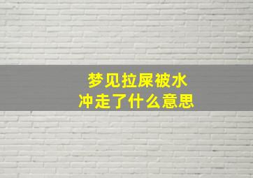 梦见拉屎被水冲走了什么意思