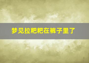 梦见拉粑粑在裤子里了