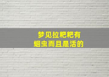 梦见拉粑粑有蛔虫而且是活的