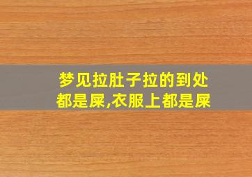 梦见拉肚子拉的到处都是屎,衣服上都是屎