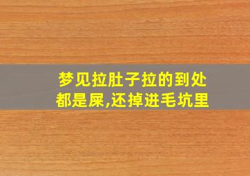 梦见拉肚子拉的到处都是屎,还掉进毛坑里