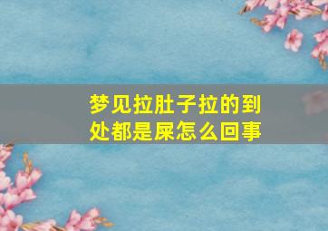 梦见拉肚子拉的到处都是屎怎么回事