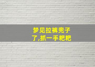 梦见拉裤兜子了,抓一手粑粑