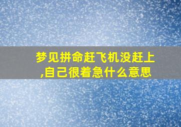 梦见拼命赶飞机没赶上,自己很着急什么意思