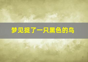 梦见捉了一只黑色的鸟