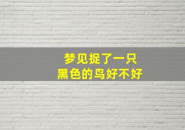 梦见捉了一只黑色的鸟好不好