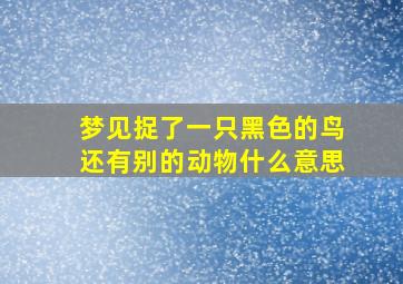 梦见捉了一只黑色的鸟还有别的动物什么意思