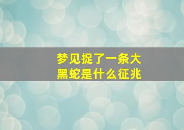 梦见捉了一条大黑蛇是什么征兆