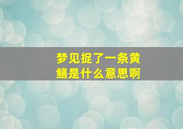 梦见捉了一条黄鳝是什么意思啊