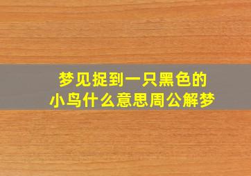 梦见捉到一只黑色的小鸟什么意思周公解梦