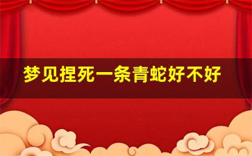 梦见捏死一条青蛇好不好