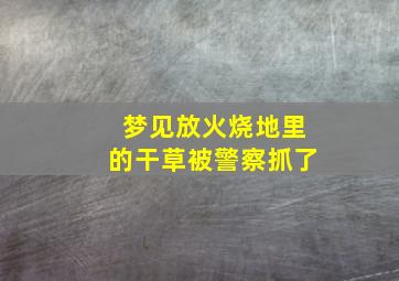 梦见放火烧地里的干草被警察抓了