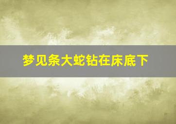 梦见条大蛇钻在床底下