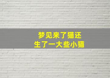 梦见来了猫还生了一大些小猫