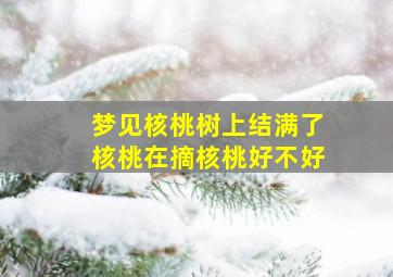 梦见核桃树上结满了核桃在摘核桃好不好