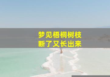 梦见梧桐树枝断了又长出来