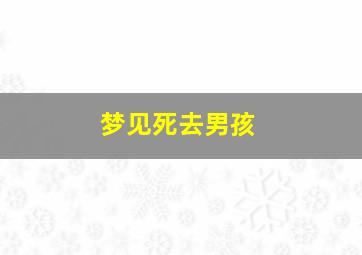 梦见死去男孩