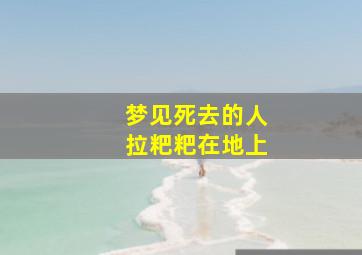 梦见死去的人拉粑粑在地上