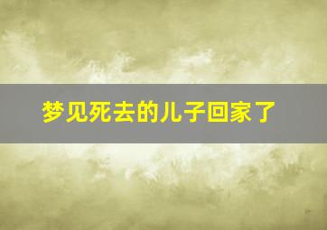 梦见死去的儿子回家了