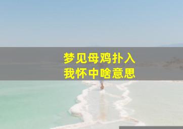 梦见母鸡扑入我怀中啥意思