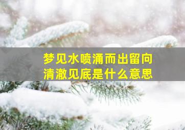 梦见水喷涌而出留向清澈见底是什么意思