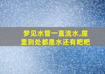 梦见水管一直流水,屋里到处都是水还有粑粑