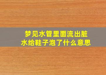 梦见水管里面流出脏水给鞋子泡了什么意思