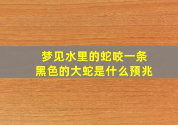 梦见水里的蛇咬一条黑色的大蛇是什么预兆