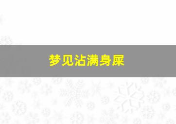 梦见沾满身屎