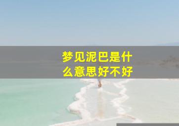 梦见泥巴是什么意思好不好