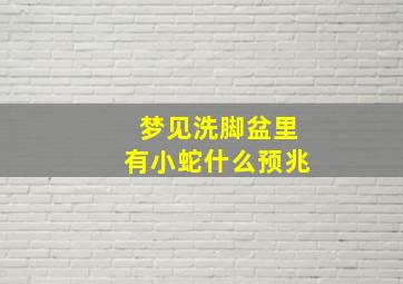 梦见洗脚盆里有小蛇什么预兆