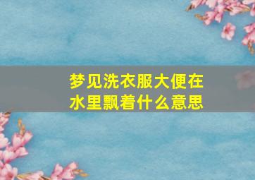 梦见洗衣服大便在水里飘着什么意思