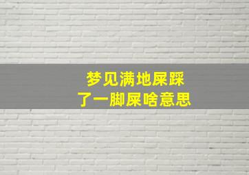 梦见满地屎踩了一脚屎啥意思