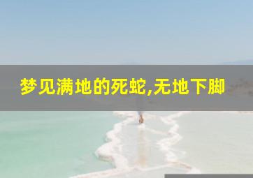 梦见满地的死蛇,无地下脚