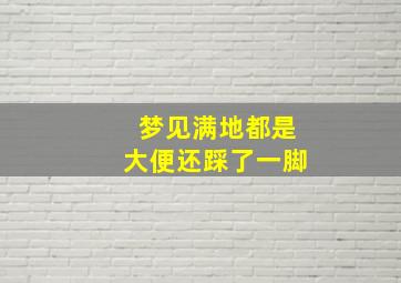 梦见满地都是大便还踩了一脚