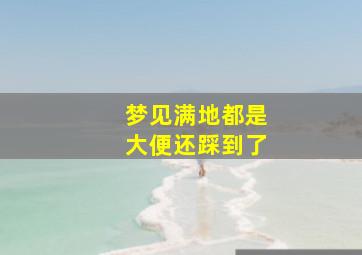 梦见满地都是大便还踩到了