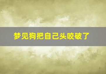 梦见狗把自己头咬破了