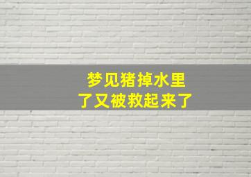 梦见猪掉水里了又被救起来了