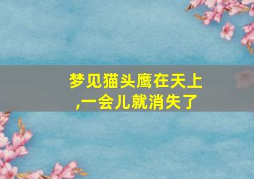 梦见猫头鹰在天上,一会儿就消失了